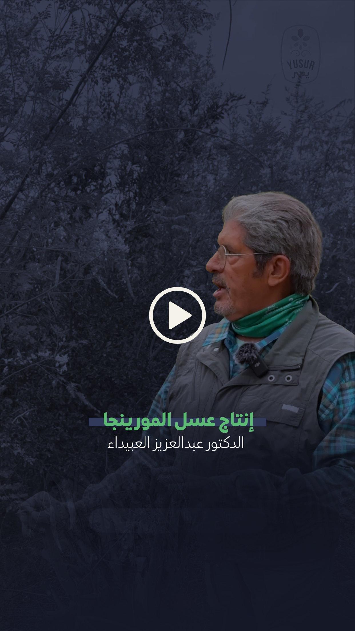 الدكتور عبدالعزيز العبيداء تعرف على مراحل إنتاج عسل المورينجا الطبيعي من داخل مزرعة يسر المورينجا حائل