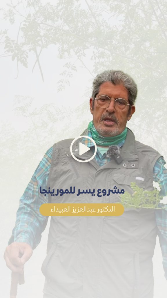 رحلة يسر تعرف على انطلاق مشروع يسر المورينجا غابة أشجار المورينجا الأكبر في حائل مع الدكتور عبدالعزيز العبيداء